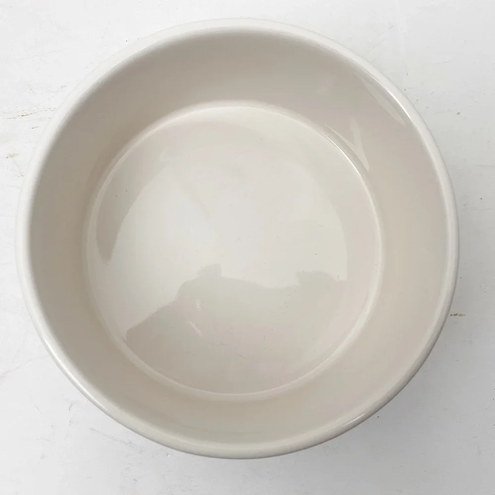Rae Dunn Chow Down Artisan Collection Ceramic Pet Food Water Bowl Ivory White